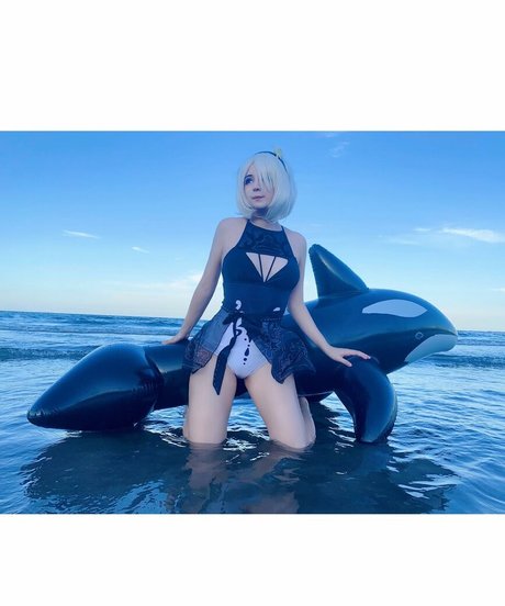 Belhino étoile sympa image