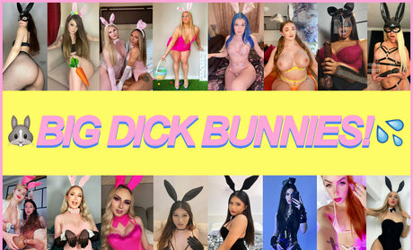 theavacole art étoile collection