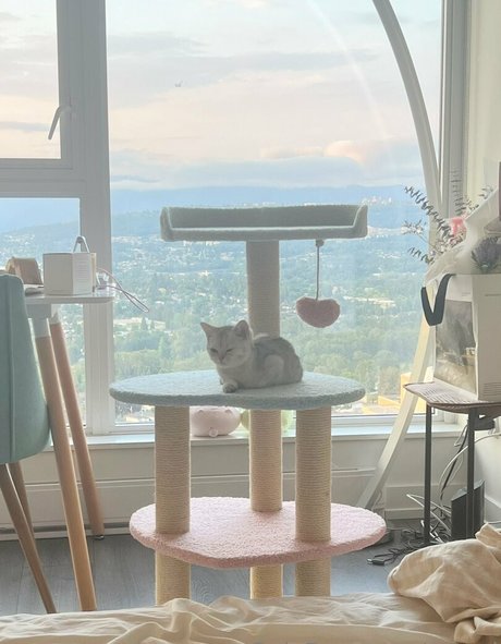 reine de pique onlyfans assez gratuit galerie