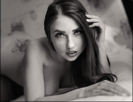 Niemira étoile chaude photo