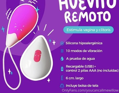 youcancallmewillow art star du porno collection