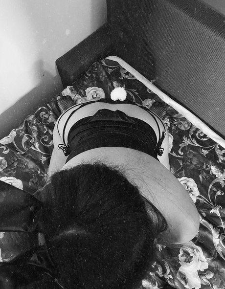 youcancallmewillow star du porno parfaite image