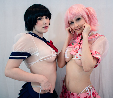 Purrblind modèle hd image