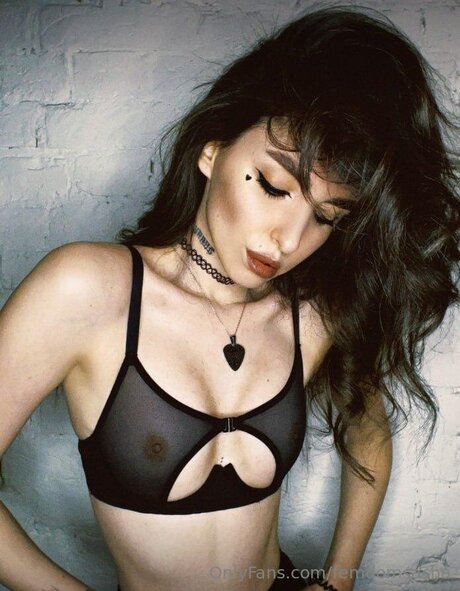 fans de la police uniquement exclusif galerie