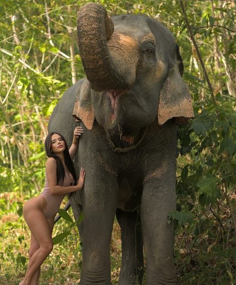 Thay Lupi belle actrice galerie