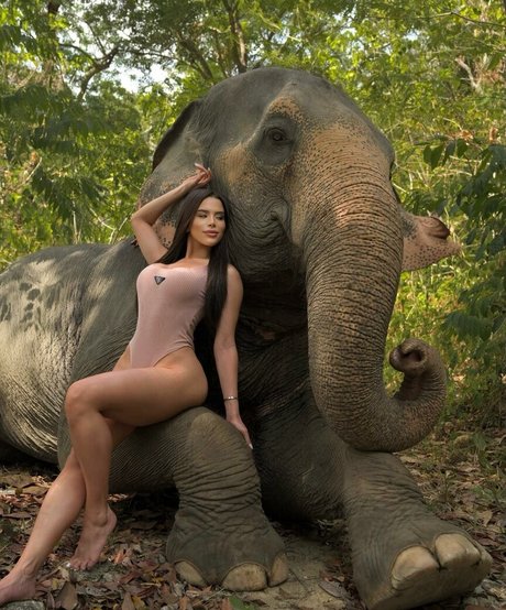 Thay Lupi Fotoaufnahmen