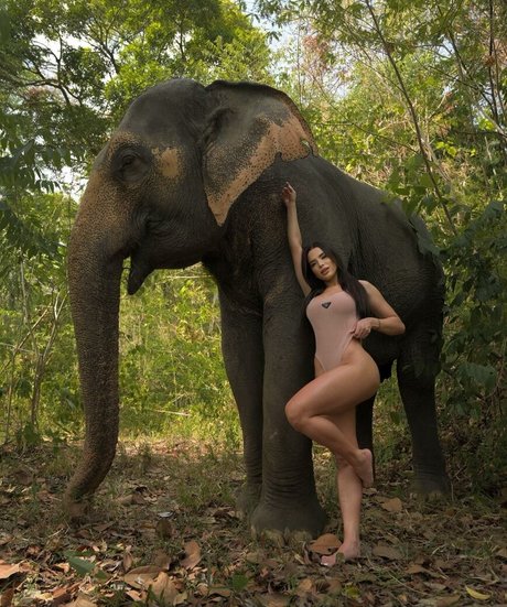 Thay Lupi étoile adulte galerie