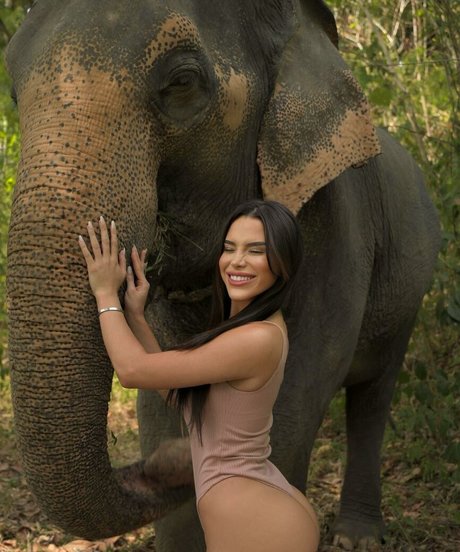 Thay Lupi star du porno de haute qualité des photos