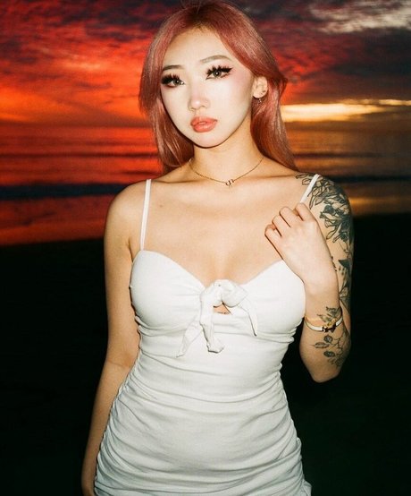 Sharon zxt haut étoile galeries