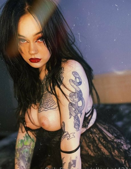 Alleykat modèle parfait images