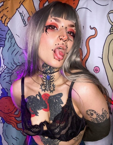 Borderwaifu top star collection