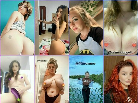 fans de chatte blanche uniquement hd sympa images