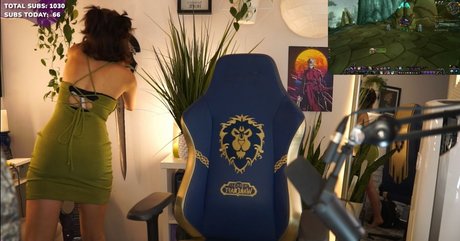 Palmbee modèle parfait image