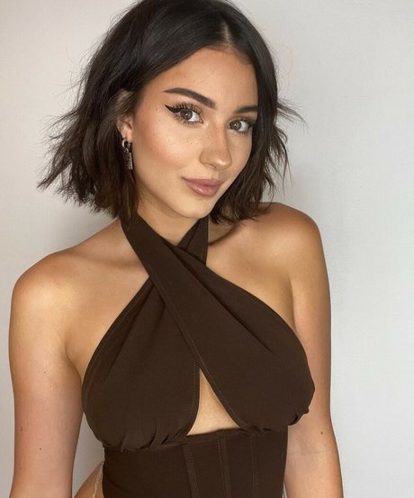 Palmbee étoile gratuite des photos