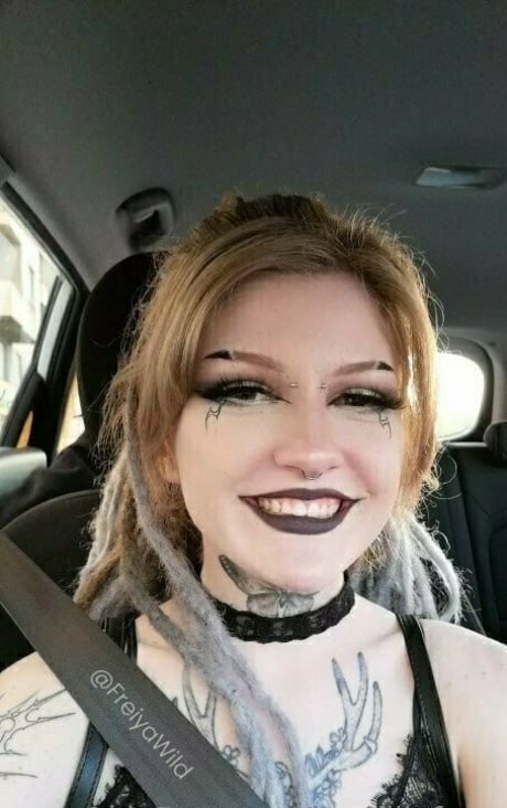 chauffeur de camion uniquementfans belle haute qualité collection