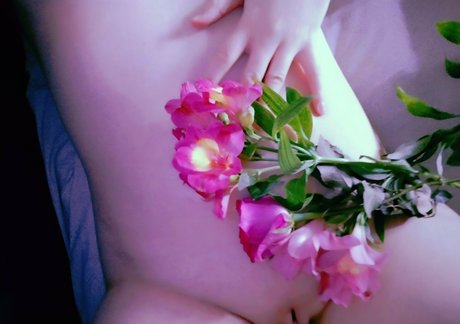 Lissaviip étoile exclusive des photos