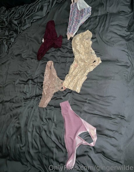 gingerwilde étoile de l'art collection