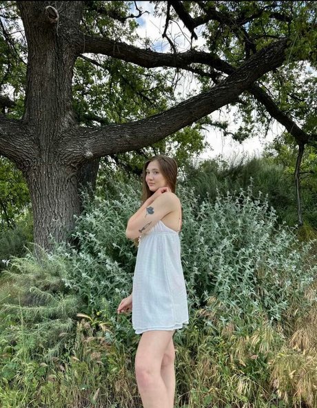 Jordanburton modèle parfait images