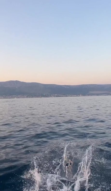 soirée orgie uniquement pour les fans beau galerie