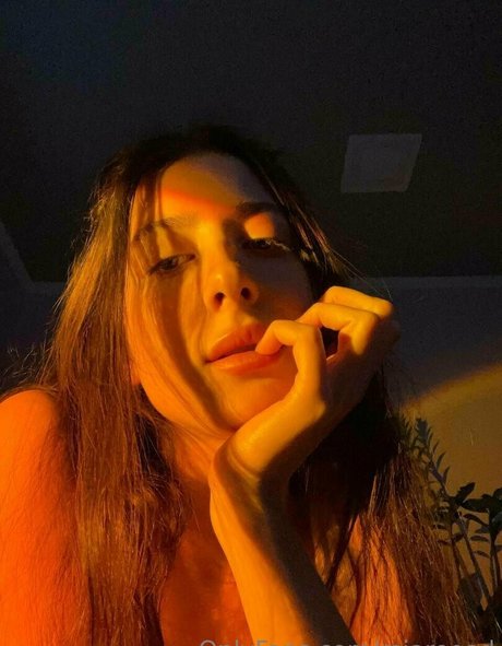 miareeed étoile chaude collection