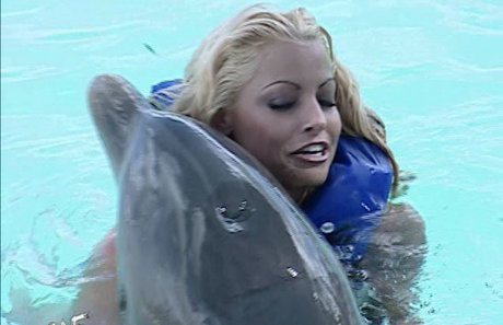 fans dahegao uniquement sympa érotique img