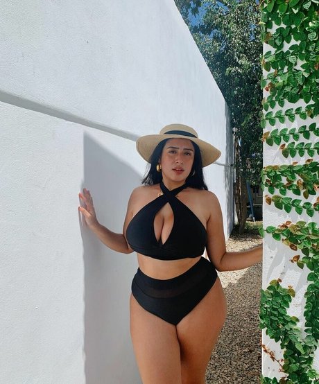 baelib modèle gratuit image