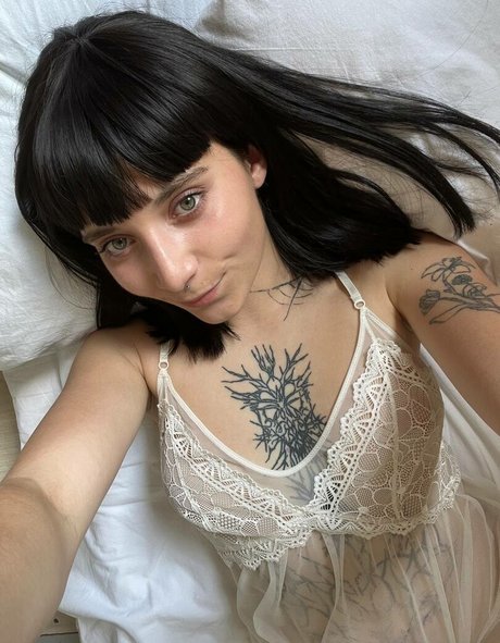 alazeya meilleur modèle galerie