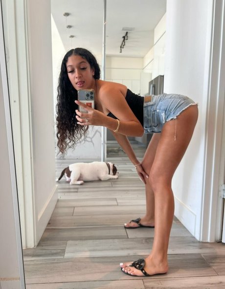 fans de chatte blanche uniquement parfait img