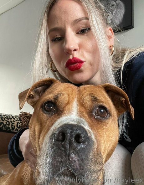 Hayleex art étoile galerie