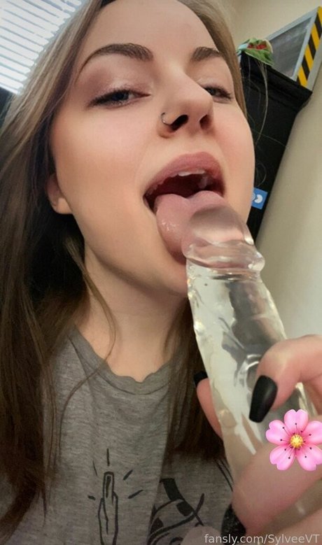 chaton courbé onlyfans top meilleur photo