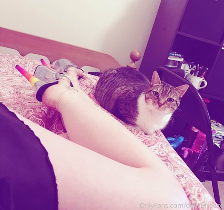 deezefreeze joli modèle image