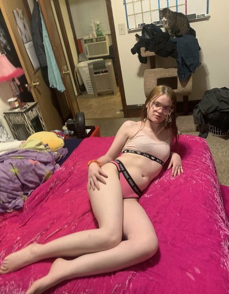 deezefreeze modèle hd images