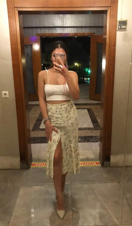 pelisilin belle étoile galeries