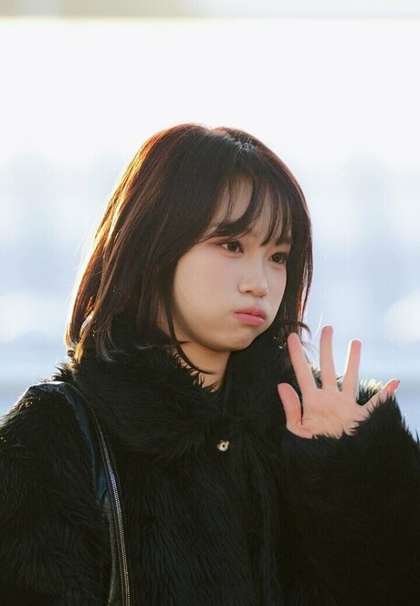 ventilateurs corporels uniquement joli art photo