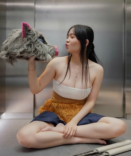 fans uniquement du dmv meilleure qualité des photos