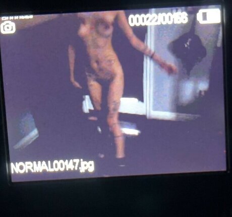 top 2024 des fans uniquement beau haut archive