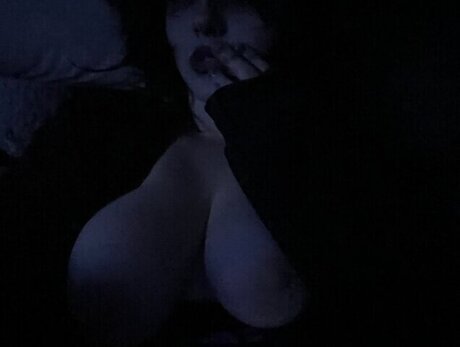 lillys of the valley haut de star du porno collection