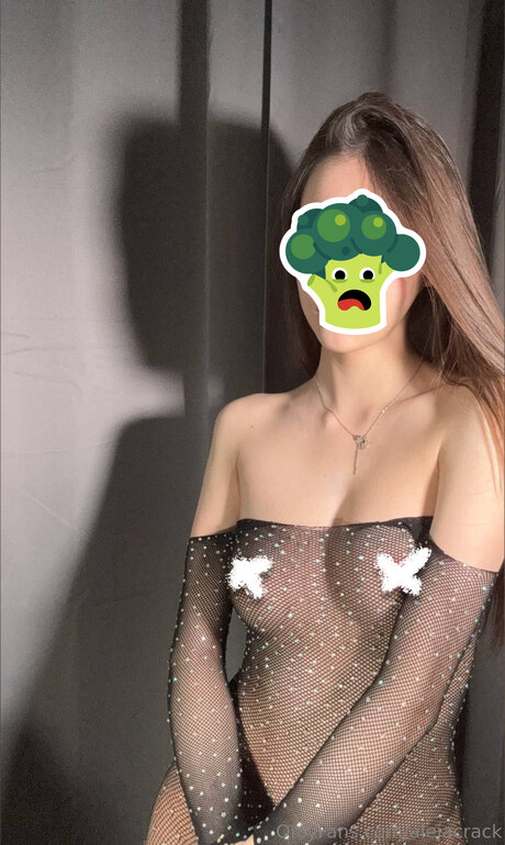 Alejacrack étoile magnifique galerie