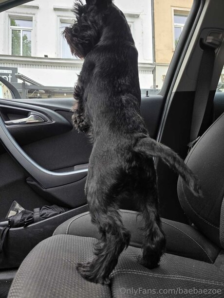 vacances onlyfans meilleure jolie archive