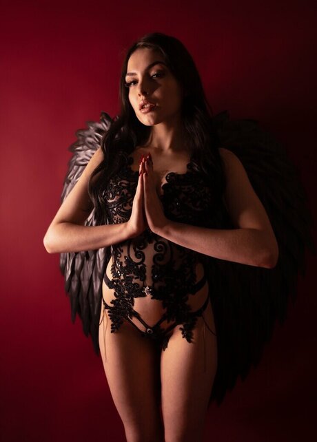 Calista Vixen actrice porno collection