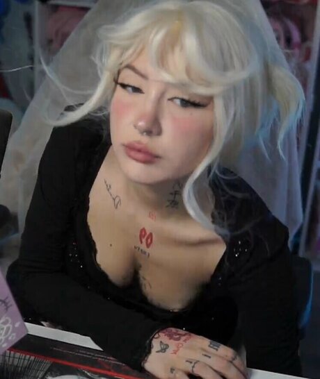 Laurinchhhe modèle archive