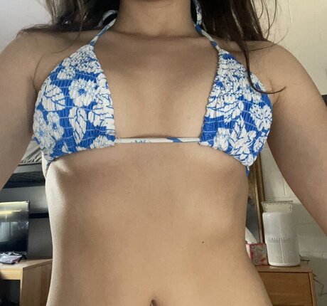 Piggypout beau modèle galerie