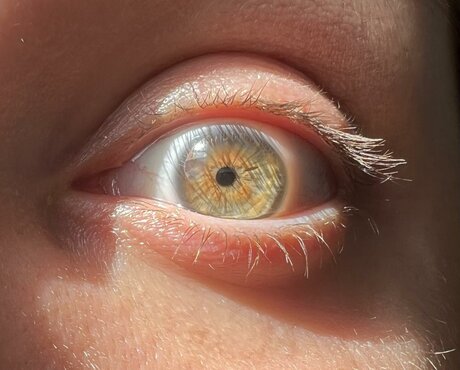 Victoria Liro star du sexe galeries