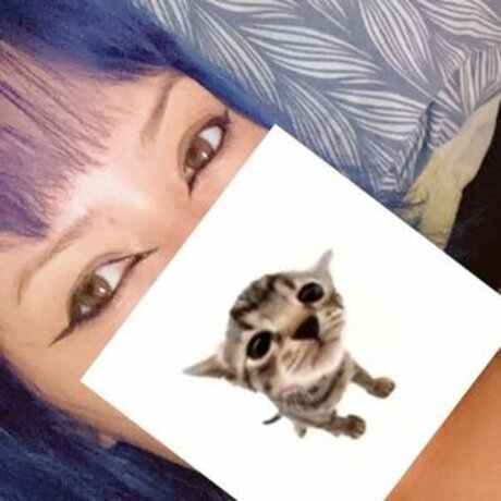 HerithPacks étoile magnifique galeries