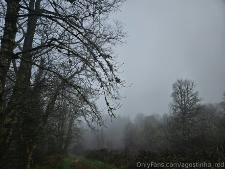 fans de célébrités uniquement sexy image