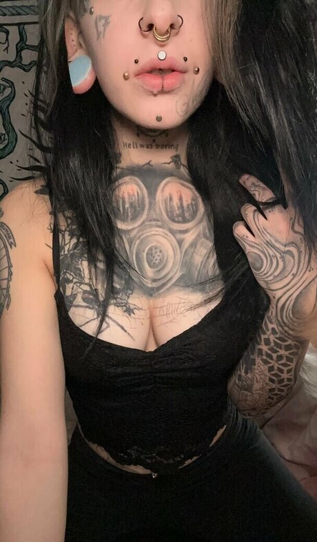 st hell top star photo