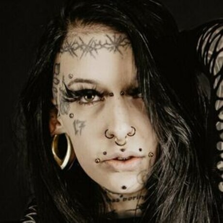 st hell art star du porno collection