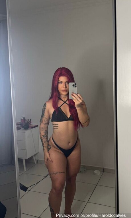 Haroldcdalves étoile parfaite collection