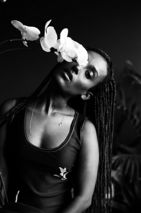 Honnete Bas art étoile images