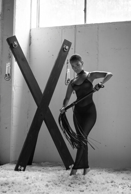 Honnete Bas star du porno exclusive collection